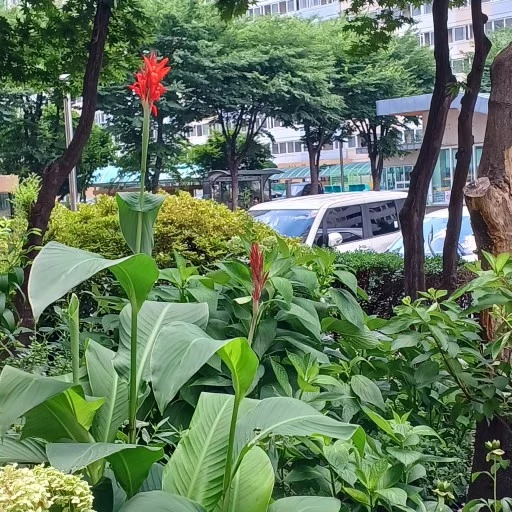 12%EB%8B%A8%EC%A7%80_%EC%9C%A0%EC%B9%98%EC%9B%90_%EC%B9%B8%EB%82%98,_%EB%B4%89%EC%84%A0%ED%99%94,_%EA%B3%84%EC%98%A4%EB%93%B1_009.jpg?type=w1