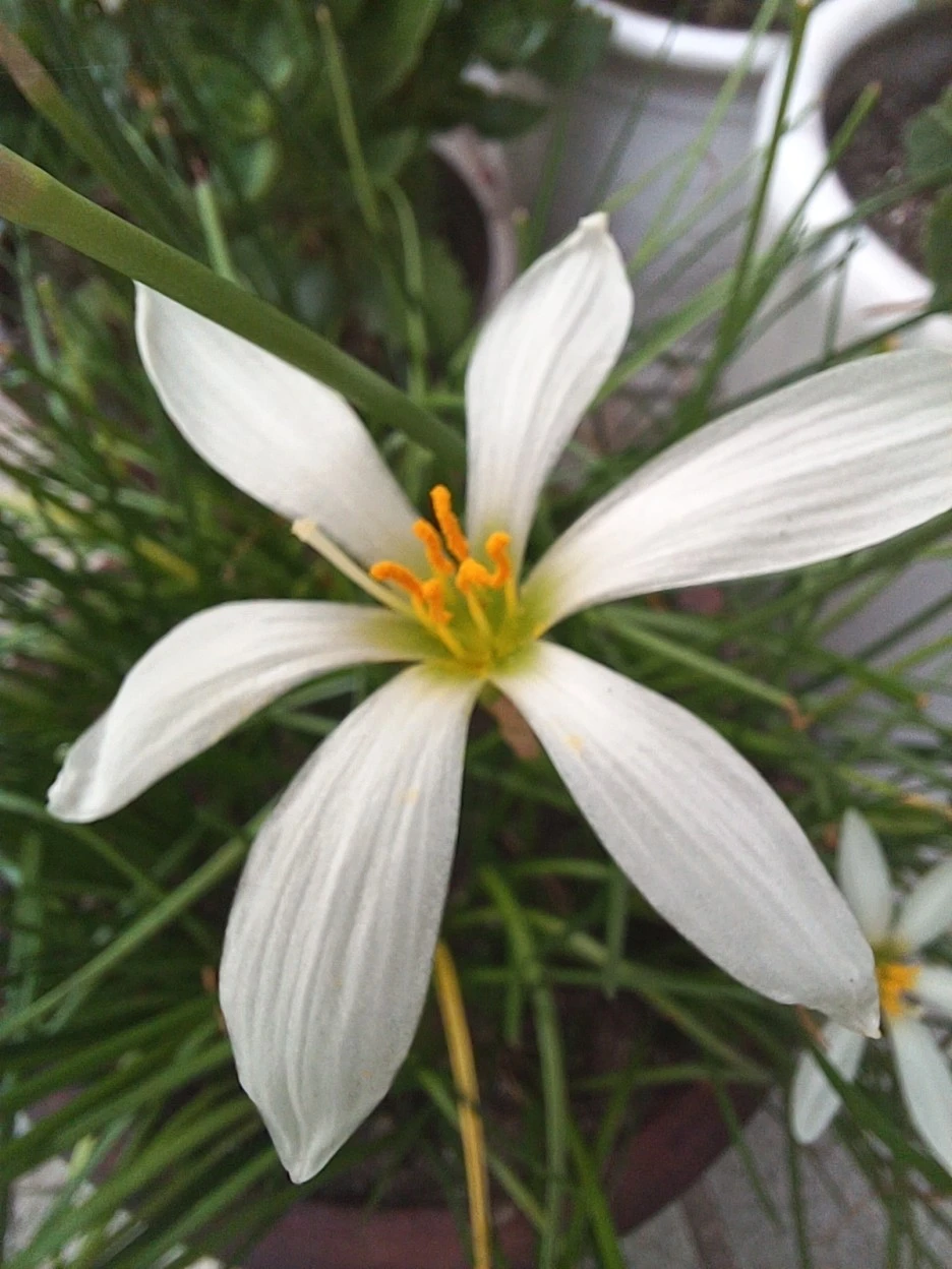 20220920_125247.jpg?type=w1