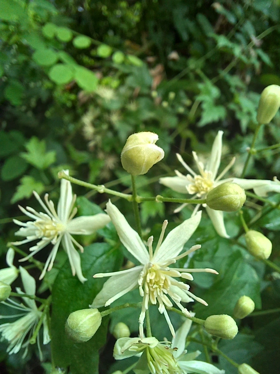 20220829%EF%BC%BF142136.jpg?type=w1