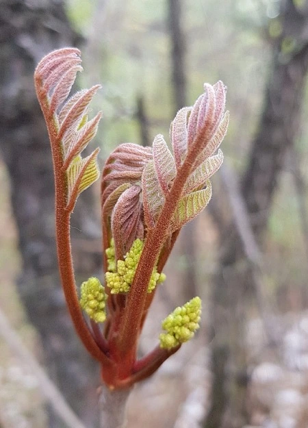 %EC%9B%B9_%EC%BA%A1%EC%B2%98_10-11-2022_164135_cafe.naver.com.jpeg?typew1