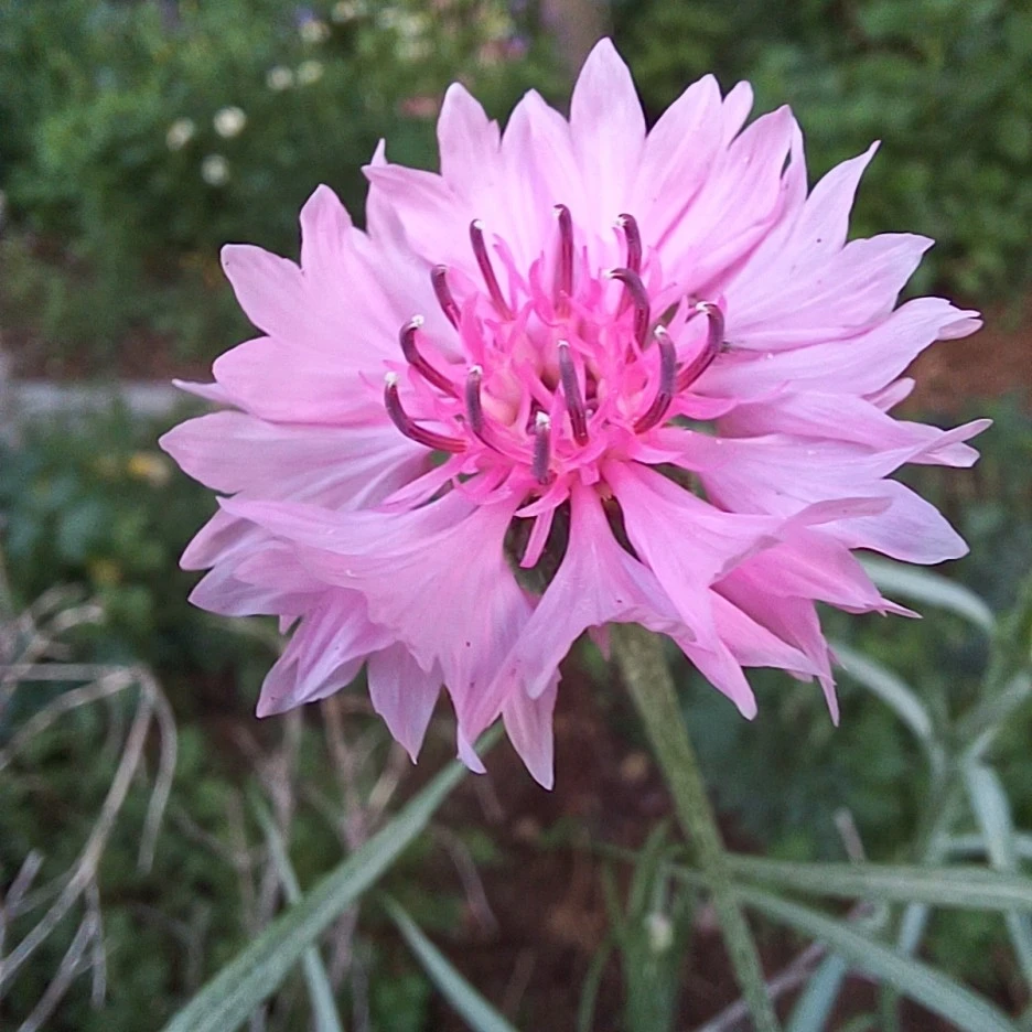 20220515_170151.jpg?type=w1