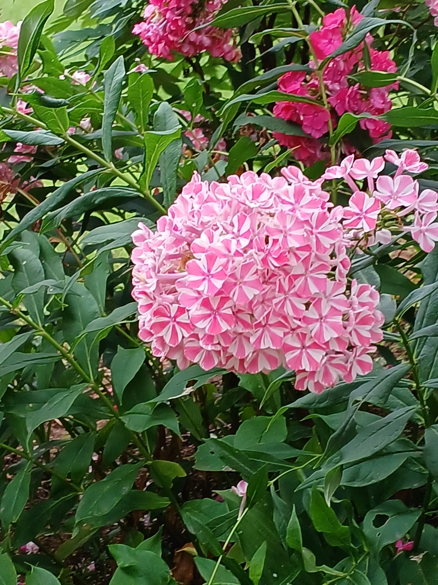 20220721%EF%BC%BF131227.jpg?type=w1