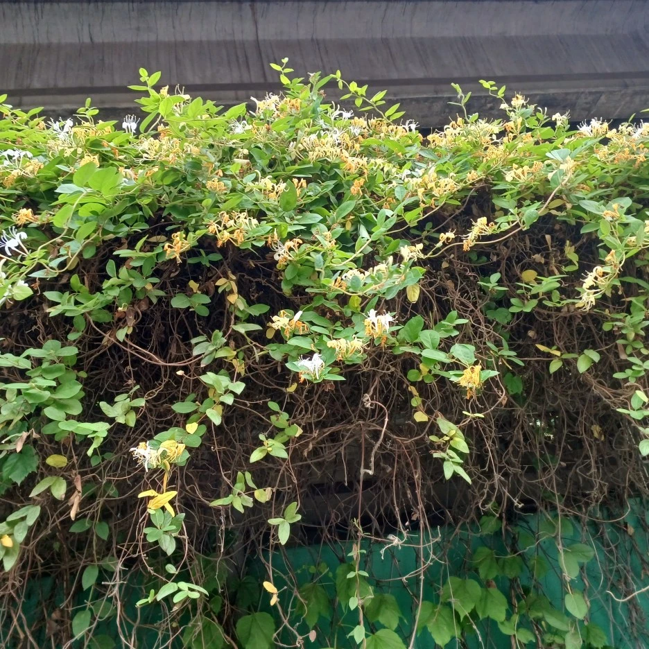 20220531_190726.jpg?type=w1