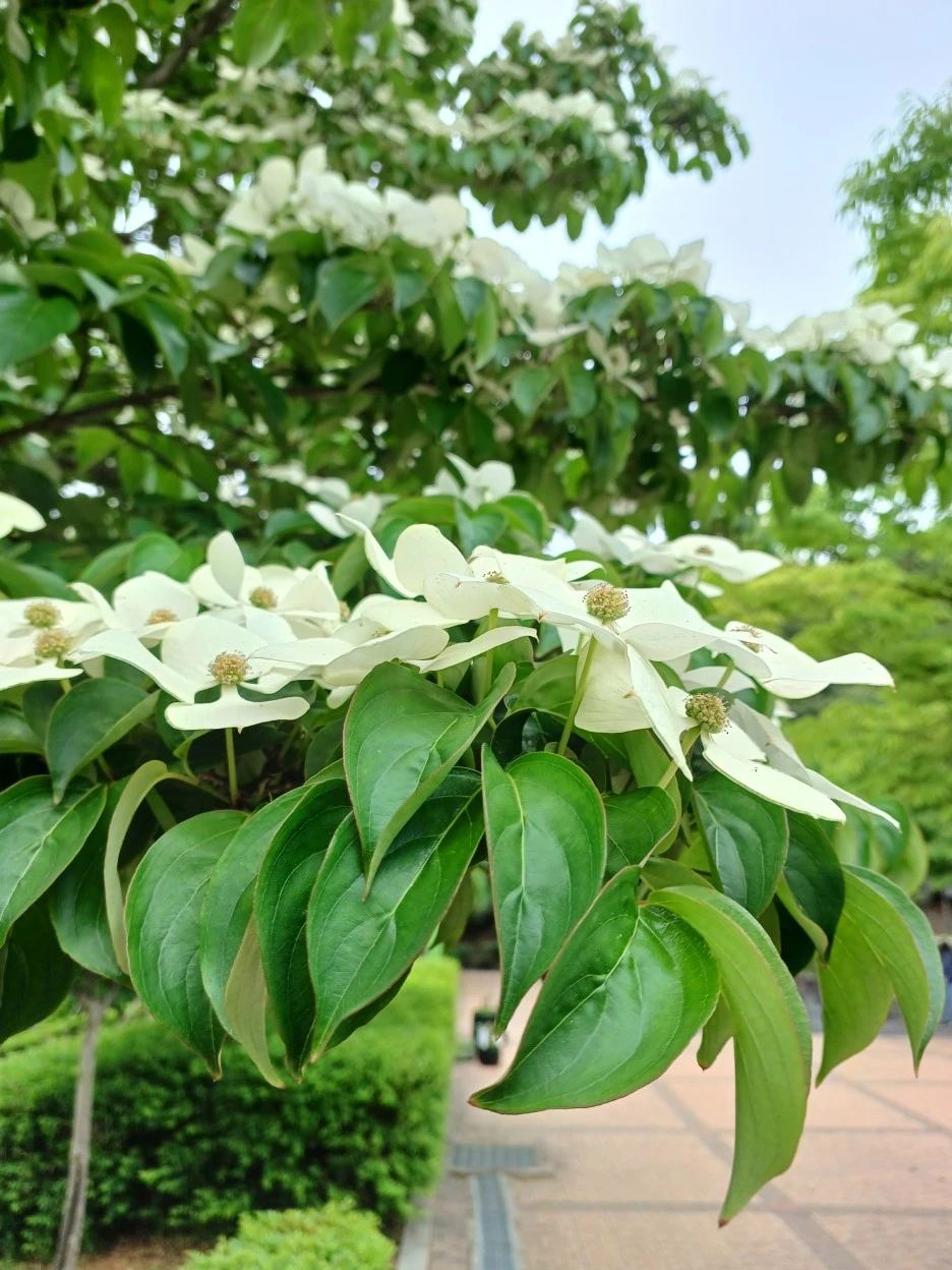 20230513_155921.jpg?type=w1