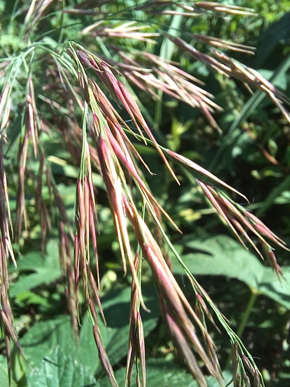 20220924_140746.jpg?typew1