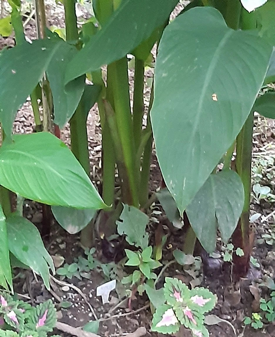 SE-5533ebb9-91ca-4547-83ba-3d955a1b062e.jpg?type=w1