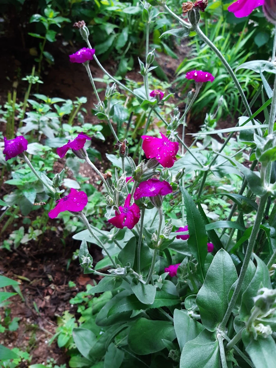 %EC%9A%B0%EB%8B%A8%EB%8F%99%EC%9E%90.jpg?type=w1