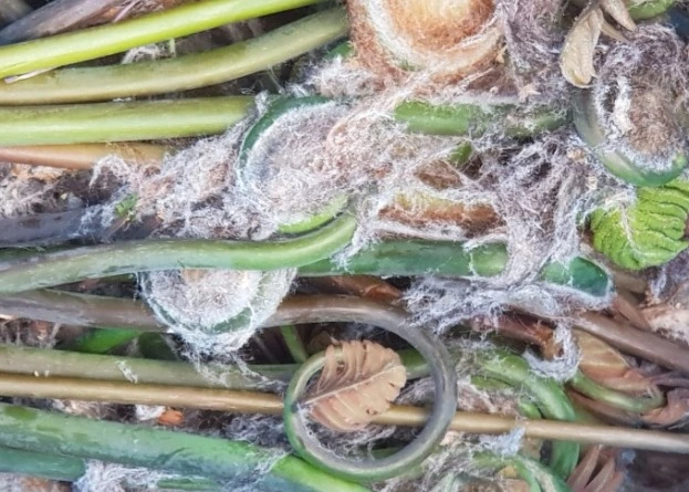 웹 캡처_25-8-2023_171645_blog.naver.com.jpeg