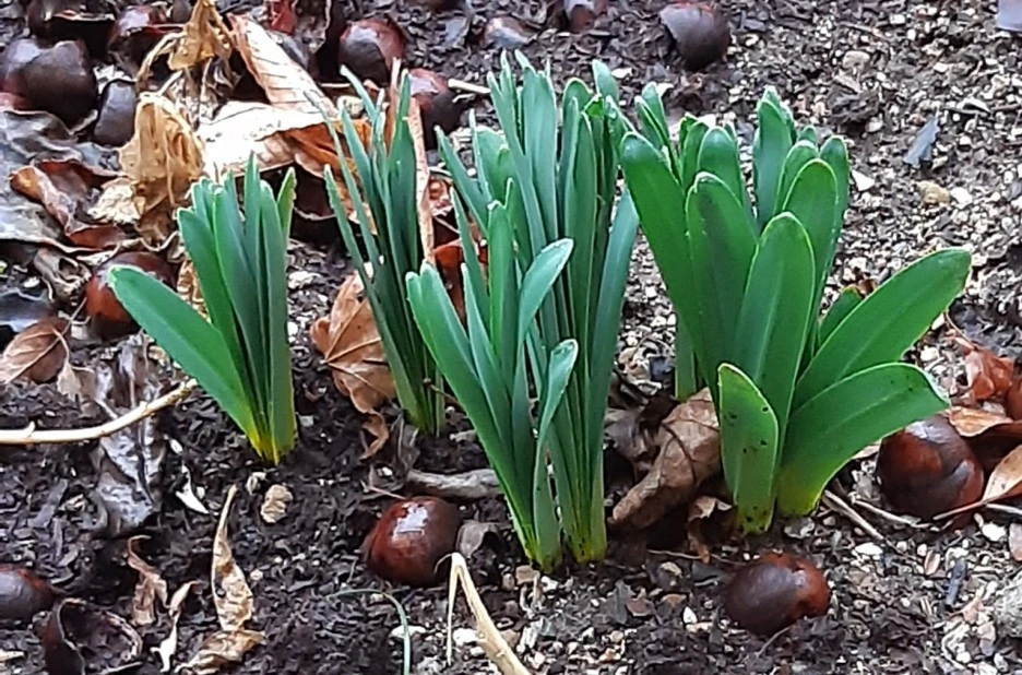 SE-d6c53dce-bd97-46d4-a6c2-4579cf1d4f2b.jpg?type=w1