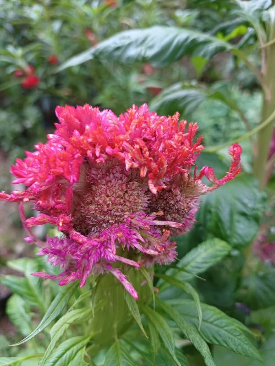 20220910%EF%BC%BF065059.jpg?type=w1