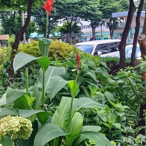 12%EB%8B%A8%EC%A7%80_%EC%9C%A0%EC%B9%98%EC%9B%90_%EC%B9%B8%EB%82%98,_%EB%B4%89%EC%84%A0%ED%99%94,_%EA%B3%84%EC%98%A4%EB%93%B1_008.jpg?type=w1