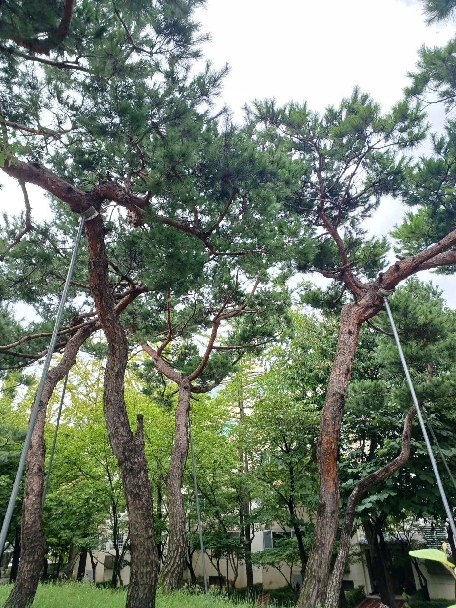 20220829_145203.jpg?type=w1