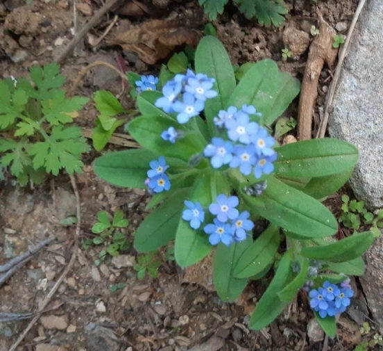 SE-7b970023-bf5d-11ec-be3b-f9e9433bbceb.jpg?type=w1