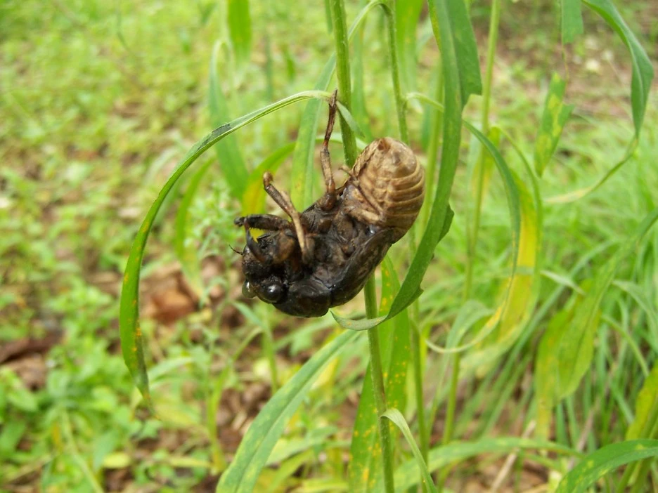 100_4147.jpg?type=w1