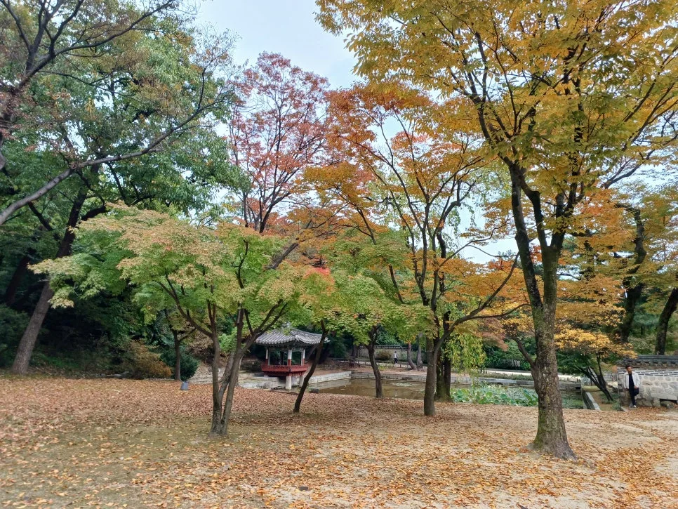 20241027_131439.jpg?type=w966