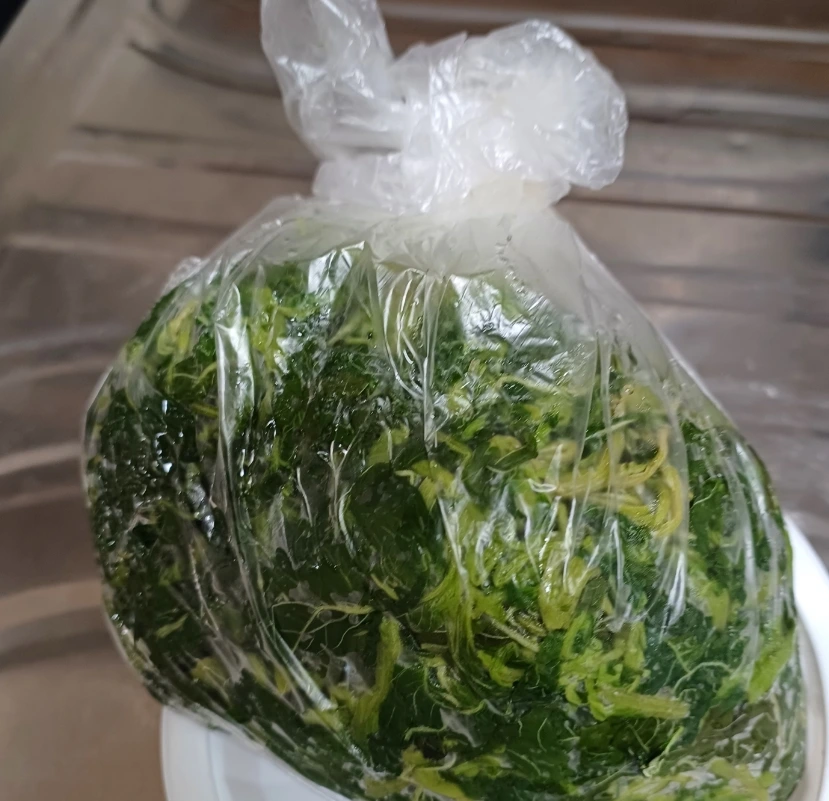 SE-2ead6f1e-ea1a-11ec-a997-9784b0e56f80.jpg?type=w1