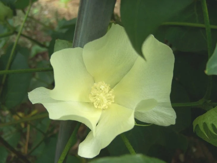 result_2006_8_1_16_54_23_171_40-lysook7.jpg?typew1