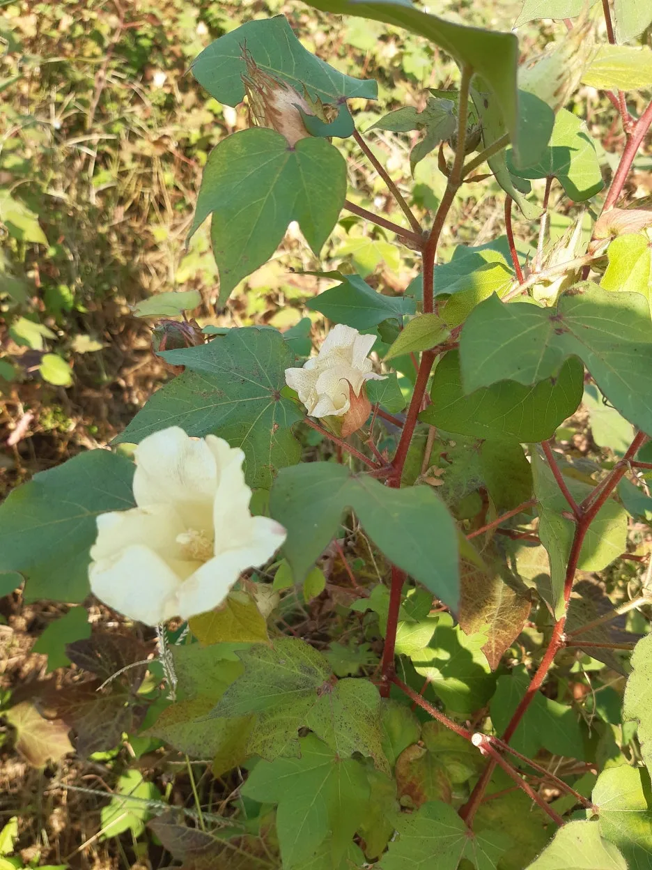 20211023_140406.jpg?type=w1