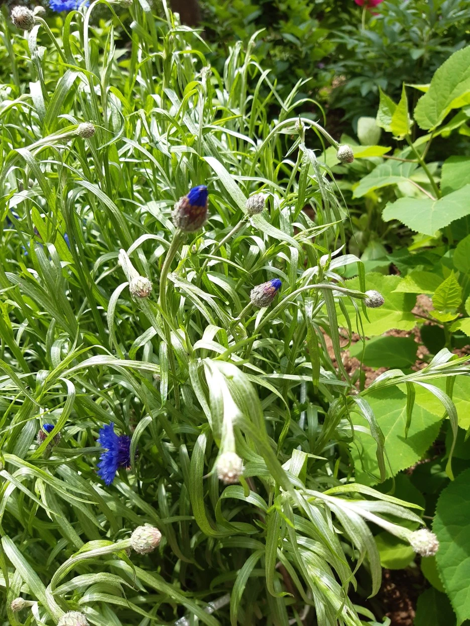 20210506_113234.jpg?type=w1