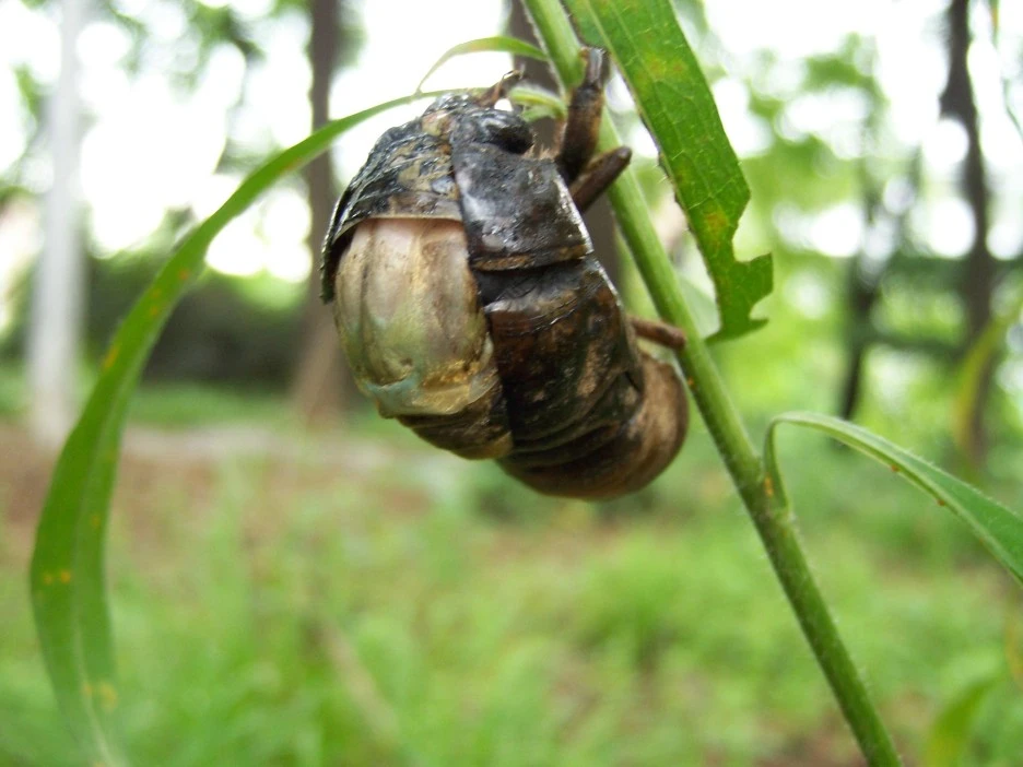 %EB%A7%A4%EB%AF%B8%ED%83%88%EB%B0%9410.jpg?type=w1