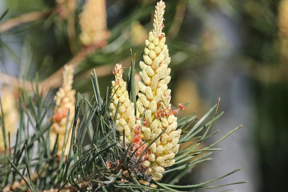 jaw-3397637_1920.jpg?type=w1