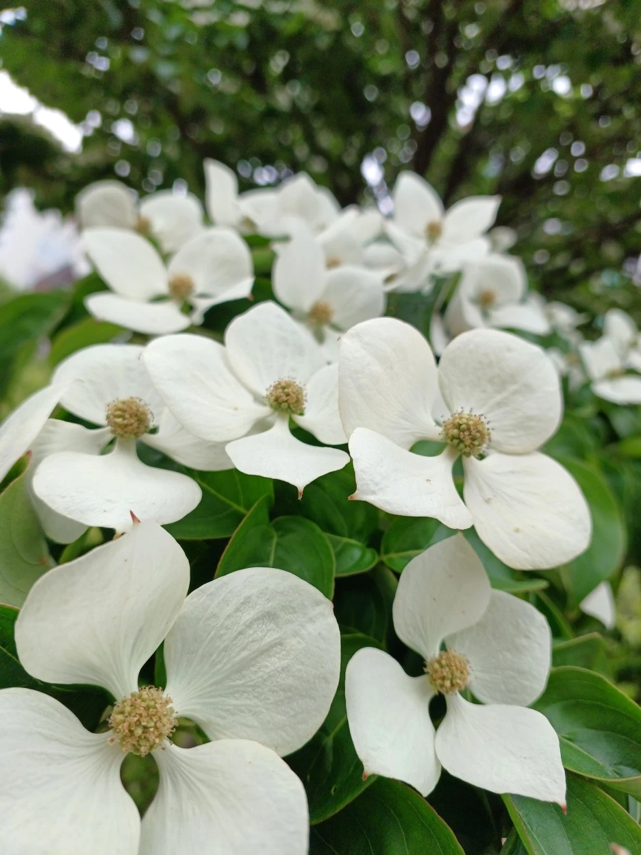 20230513_160048.jpg?type=w1