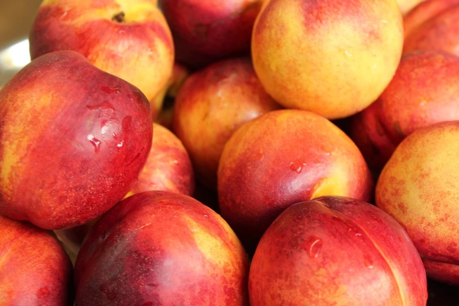 nectarines-4534241_1920.jpg?type=w1
