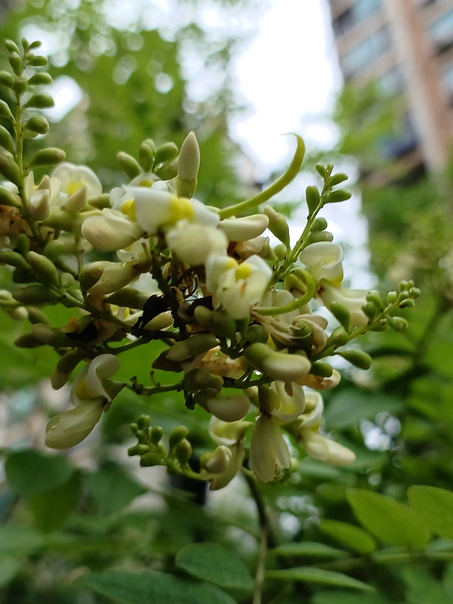 20220721%EF%BC%BF131739.jpg?type=w1