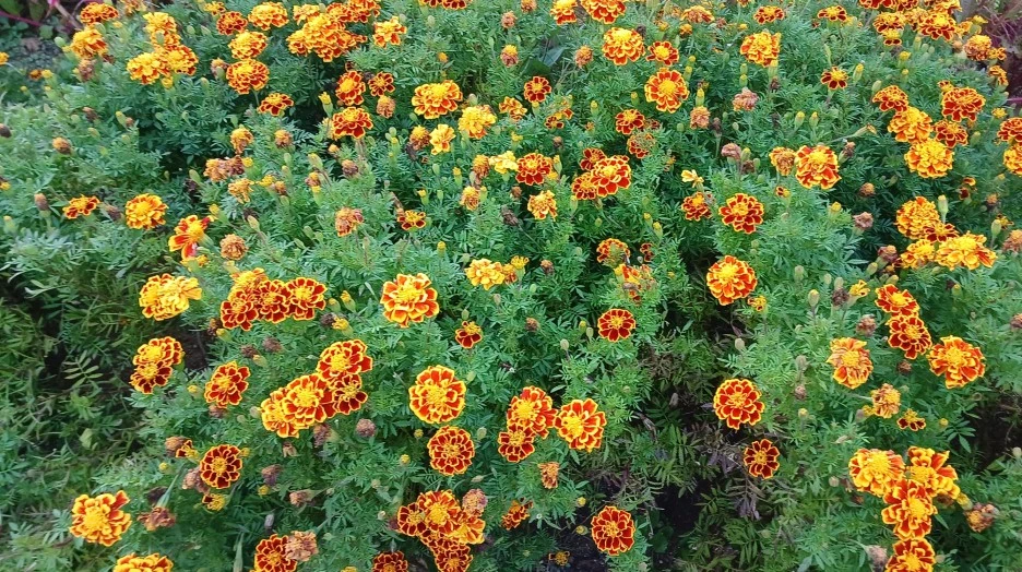 SE-3c3fc1ce-3b20-4291-b6e7-c11d96d9872c.jpg?type=w1