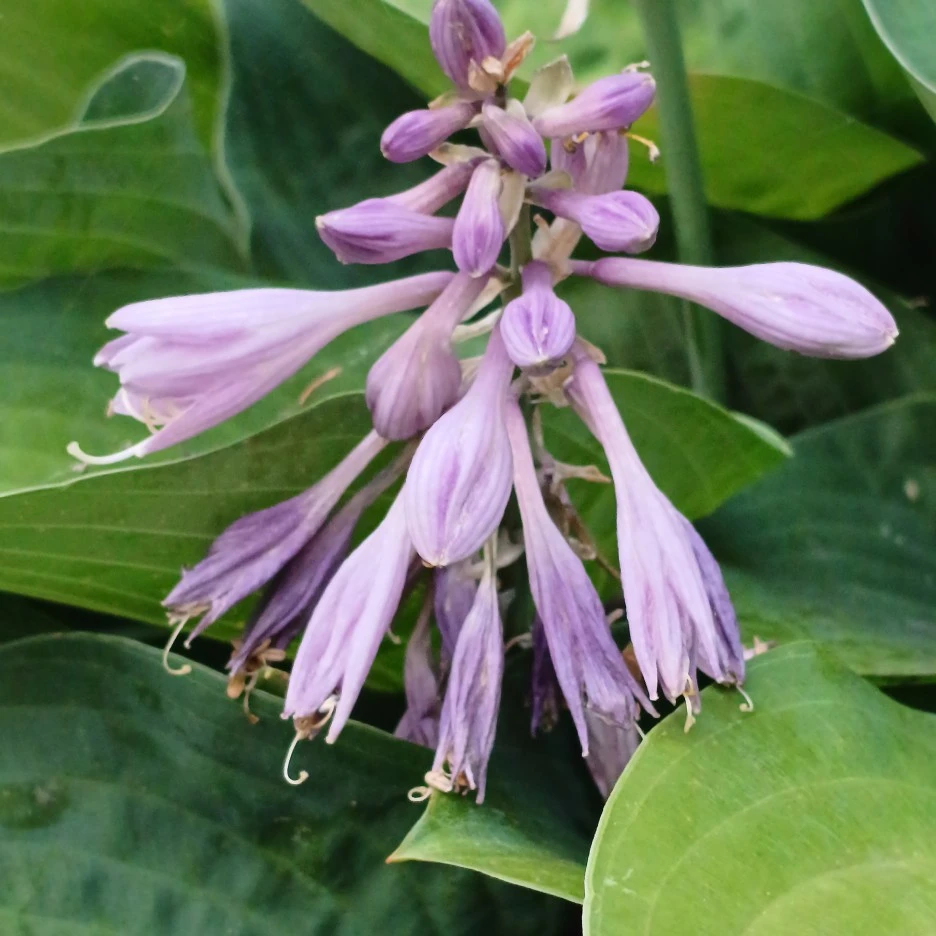 20220618_192308.jpg?type=w1