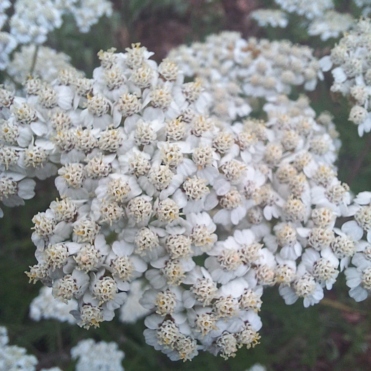 4_ba8Ud018svchlgsi38qrfdb_818kqs.jpg?type=e1920_std