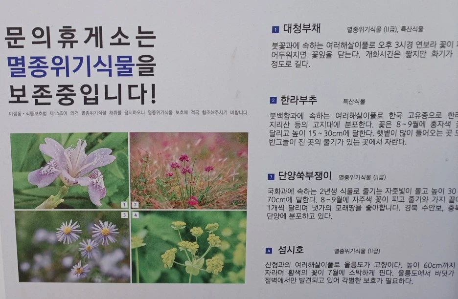 SE-d3b1619f-3d74-4354-80af-26028de9dc07.jpg?type=w1