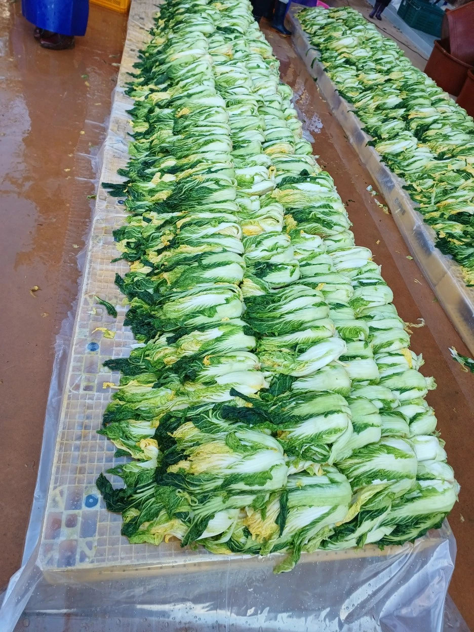 20221119_094638.jpg?typew1