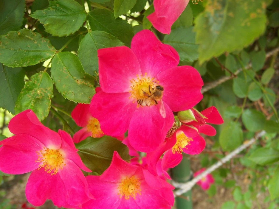 100_1806.jpg?type=w1