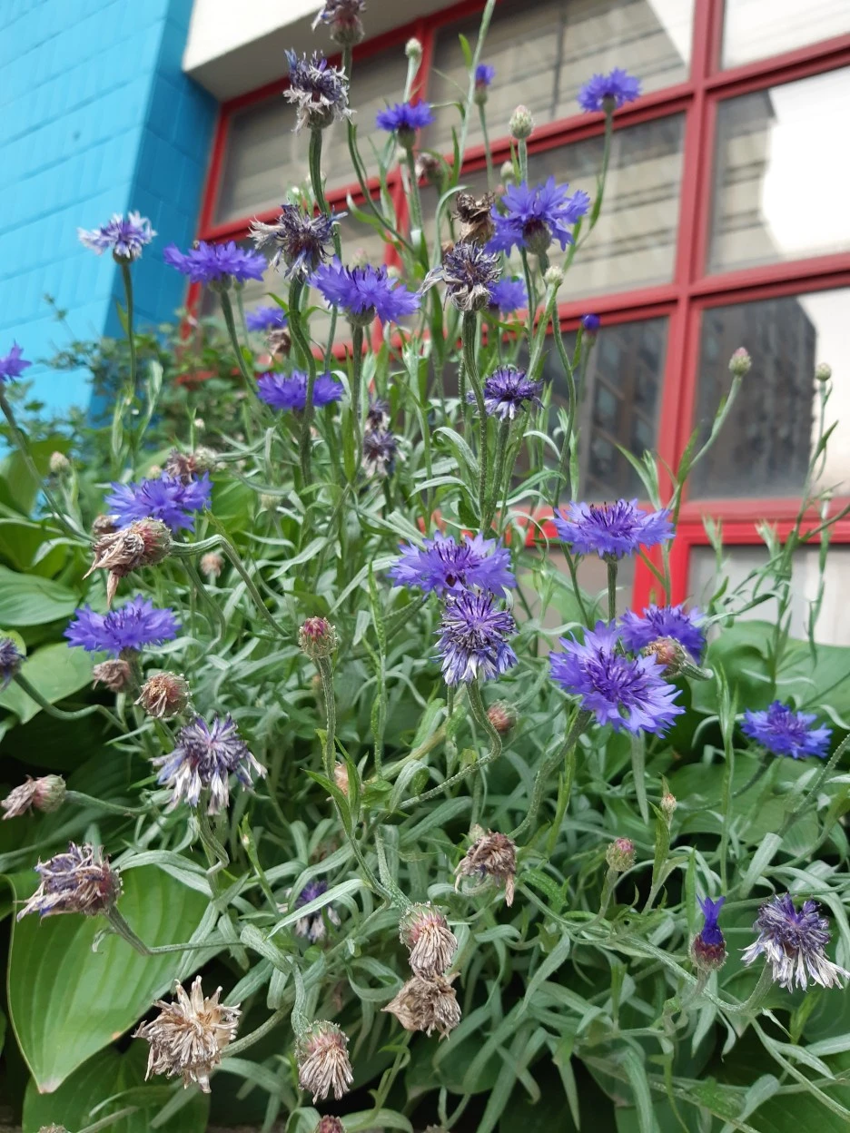 20210602_185345.jpg?type=w1