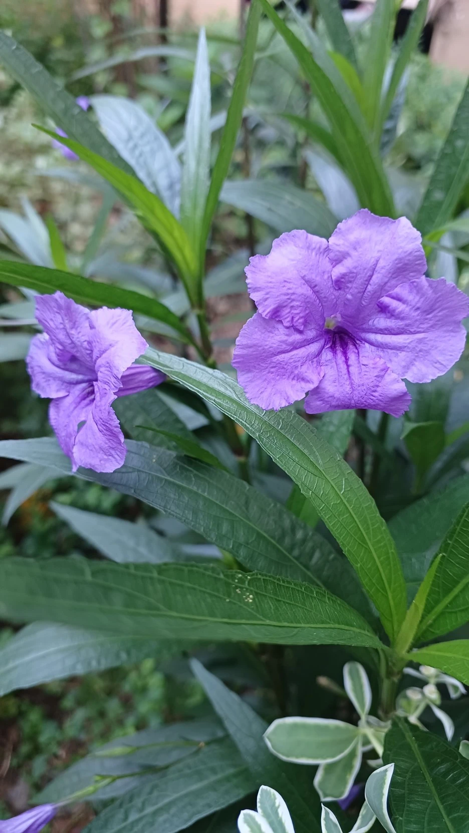 20220818_063110.jpg?type=w1