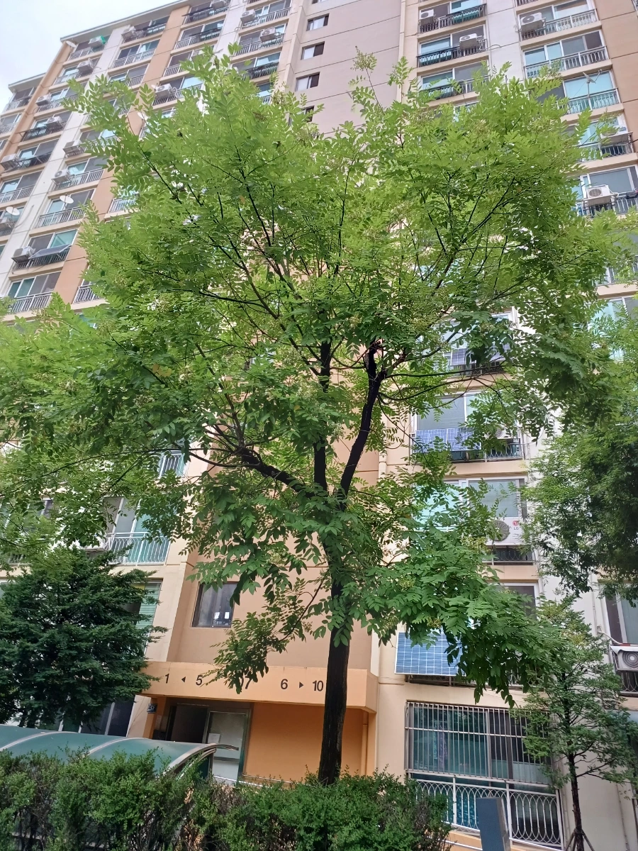 20220721%EF%BC%BF131000.jpg?type=w1