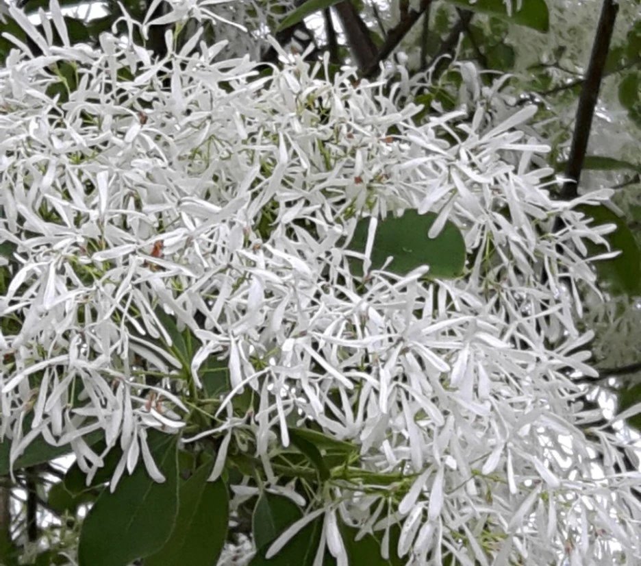 SE-886e5be9-c415-4d33-90c8-bb3c1ca86c7b.jpg?type=w1