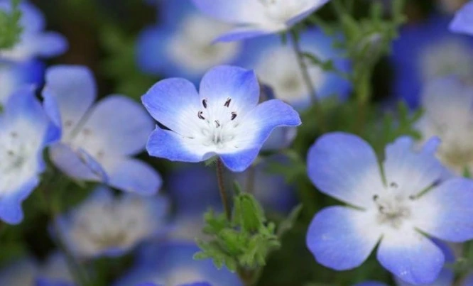 네모필라 (6).jpeg