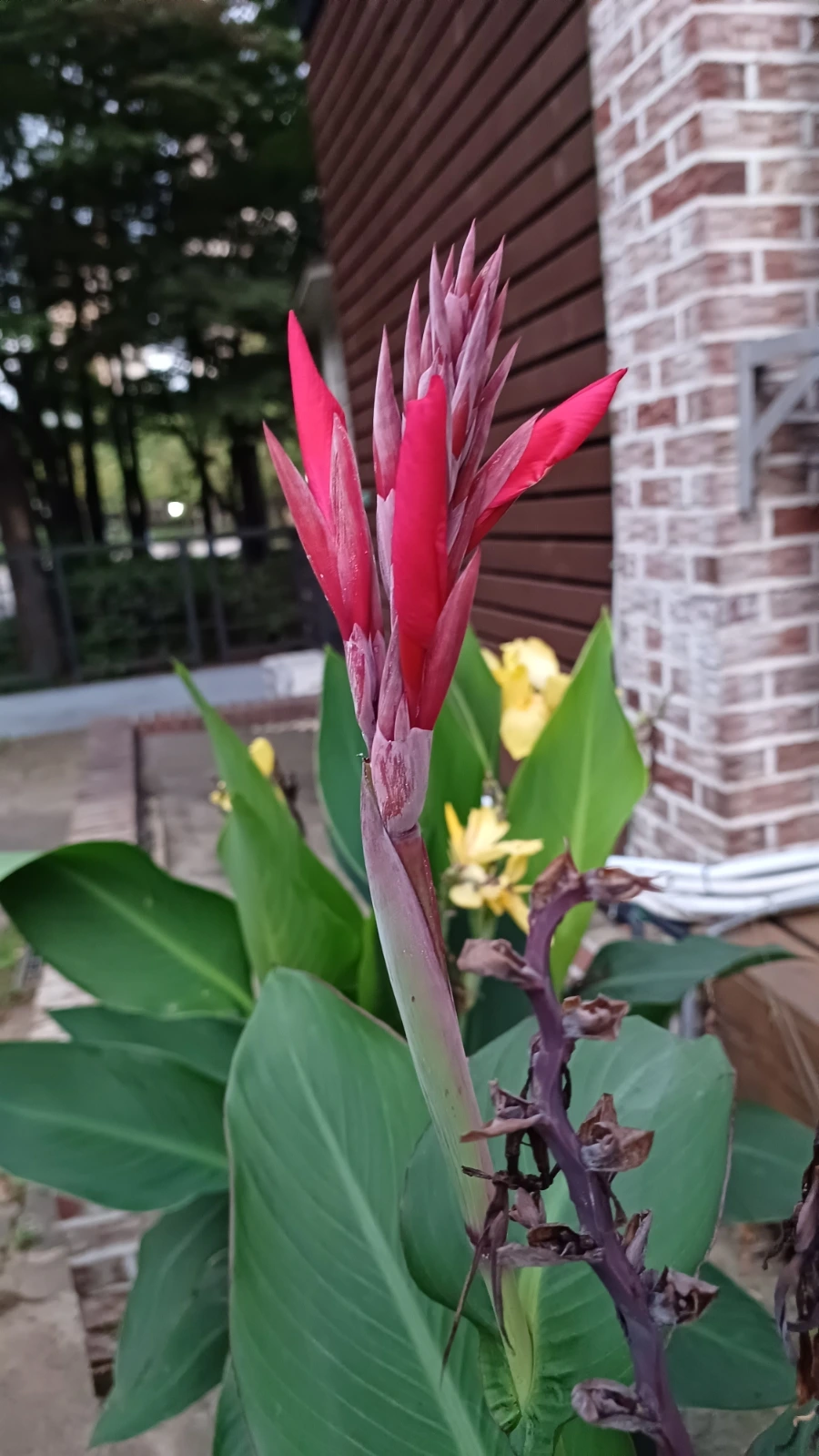 20220817%EF%BC%BF192540.jpg?type=w1