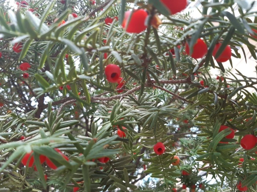 20211010%EF%BC%BF095540.jpg?type=w1