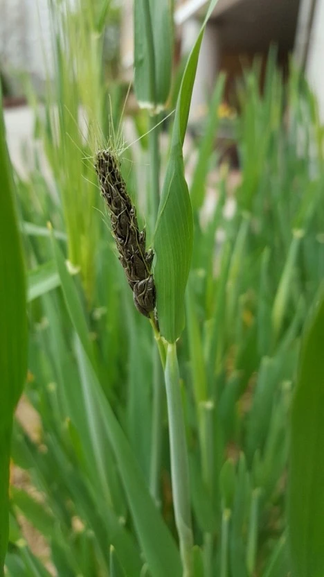 %EB%8B%A4%EC%9A%B4%EB%A1%9C%EB%93%9C_%EA%B9%9C%EB%B6%80%EA%B8%B0.jpg?type=w1