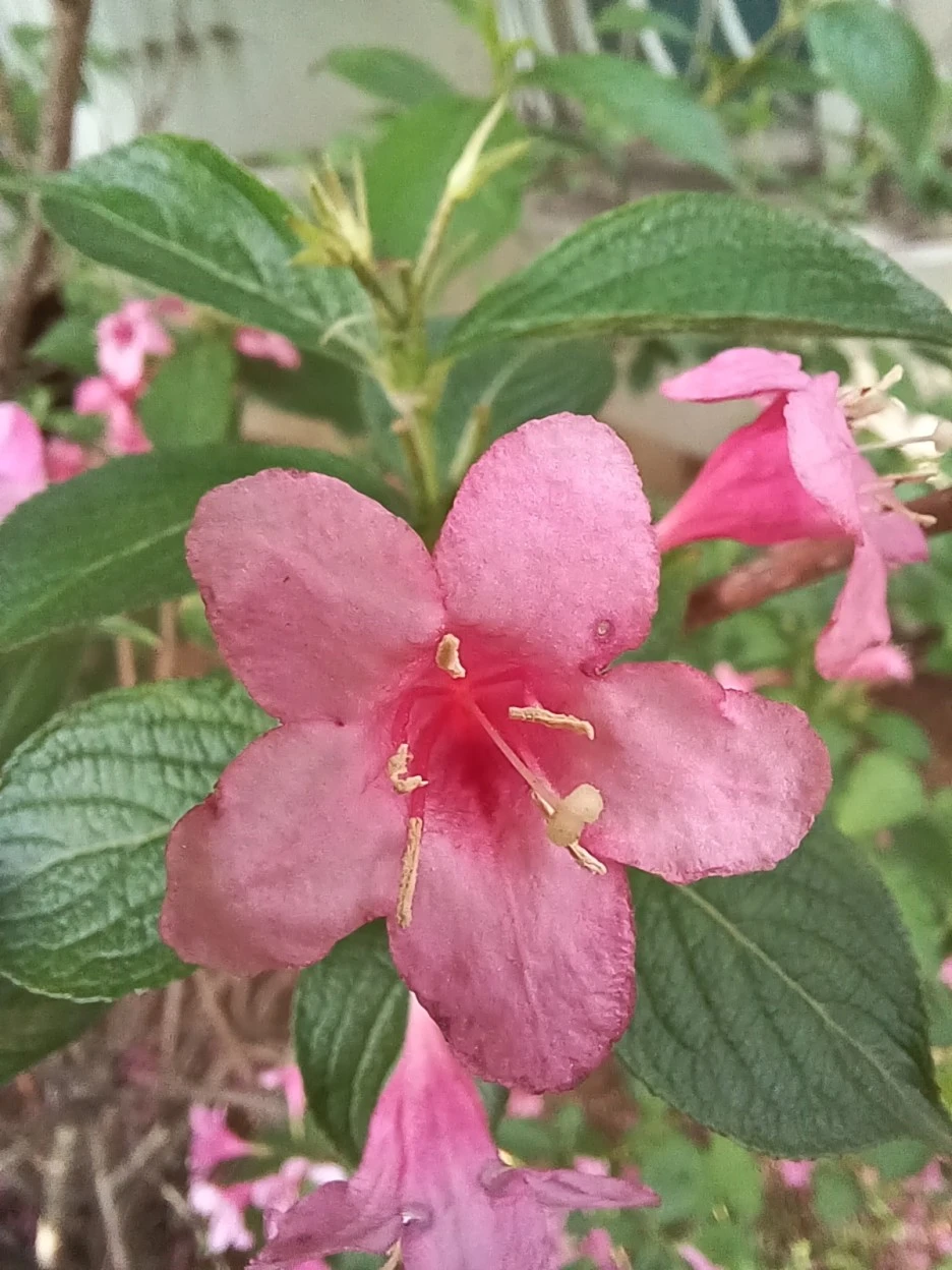 20230507%EF%BC%BF171814.jpg?type=w1