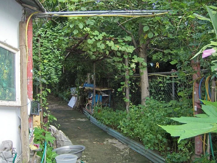 result_2006_7_3_11_44_26_703_14-lysook7.jpg?type=w1