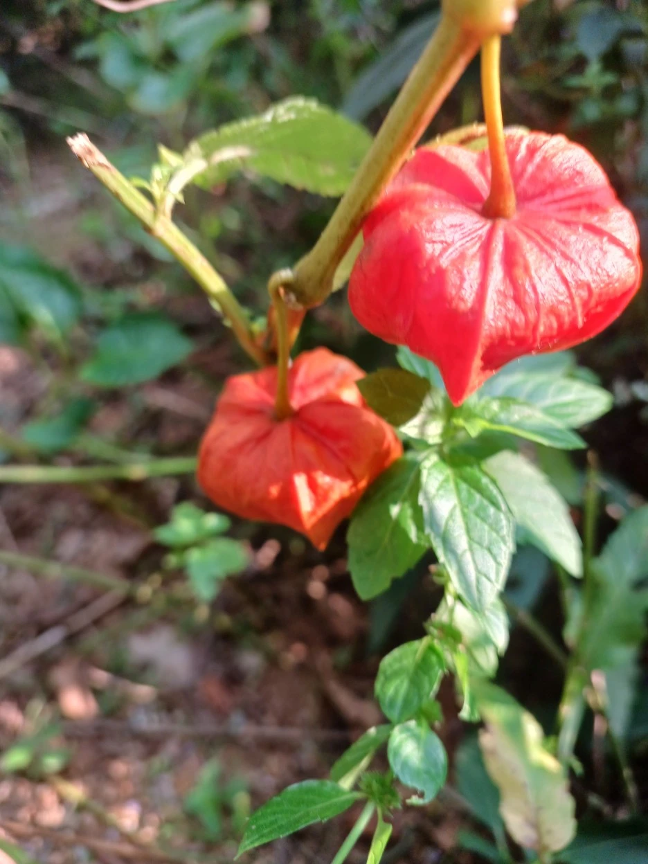 20220930_154604.jpg?type=w1