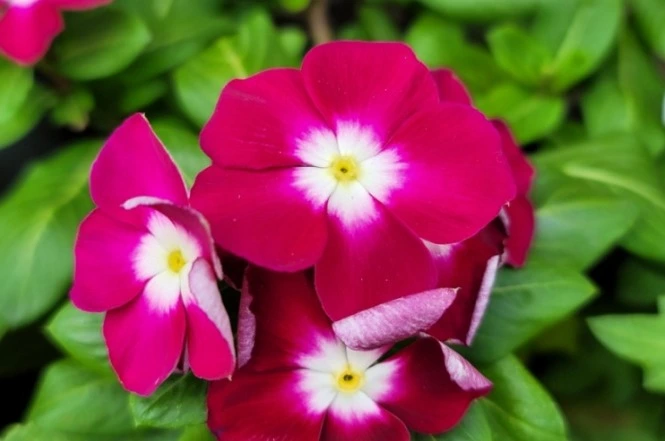 웹 캡처_23-2-2023_181034_blog.naver.com.jpeg