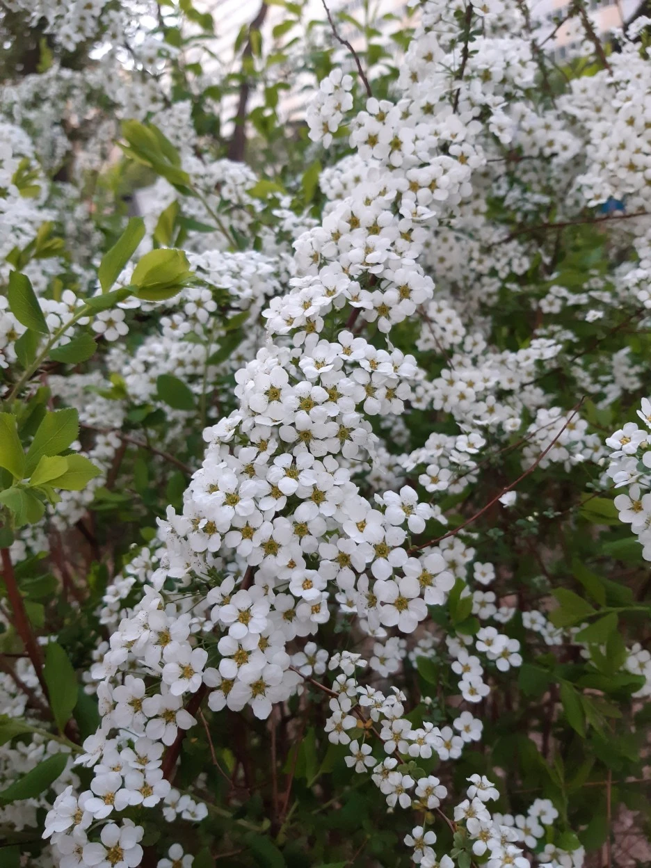 20220414_185543.jpg?type=w1