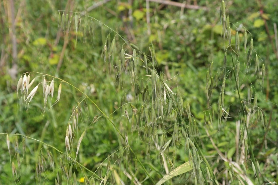 ib58_1535_i3.jpg?type=w1