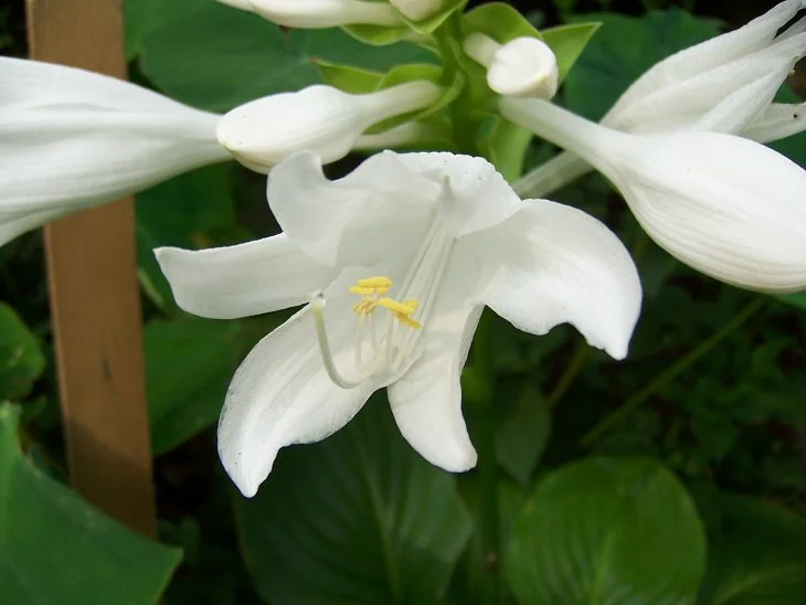 result_2006_7_5_7_53_55_500_7-lysook7.jpg?type=w1