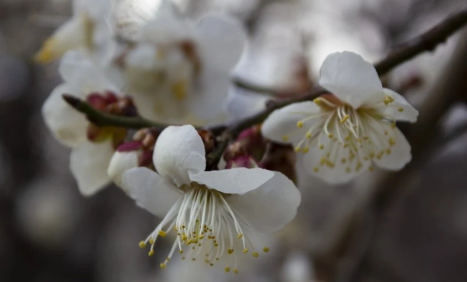 %EC%9B%B9_%EC%BA%A1%EC%B2%98_31-3-2022_1592_blog.naver.com.jpeg?type=w1